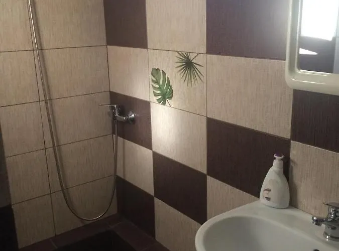 بيت ضيافة Pensiunea Everest