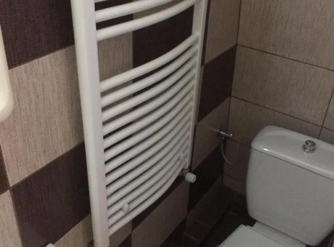 بيت ضيافة Pensiunea Everest 3*