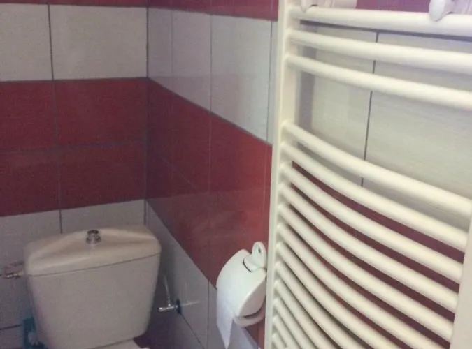 بيت ضيافة Pensiunea Everest 3*