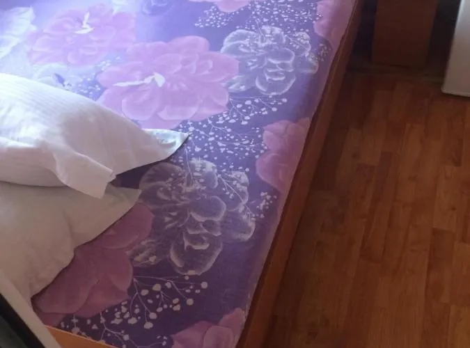 بيت ضيافة Pensiunea Everest كرايوفا